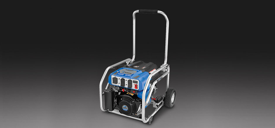 7000W Portable Generator